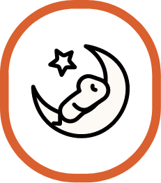 睡眠
